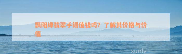 飘阳绿翡翠手镯值钱吗？了解其价格与价值