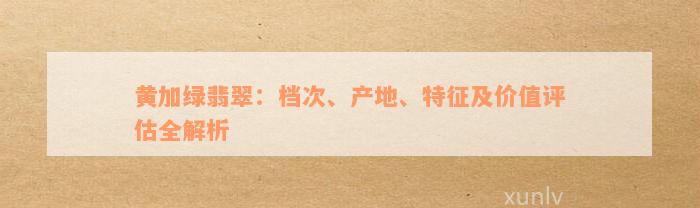 黄加绿翡翠：档次、产地、特征及价值评估全解析