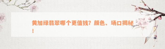 黄加绿翡翠哪个更值钱？颜色、场口揭秘！