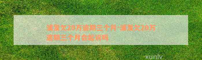 浦发欠20万逾期三个月-浦发欠20万逾期三个月会起诉吗