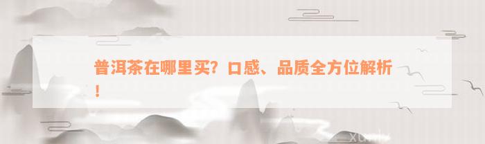 普洱茶在哪里买？口感、品质全方位解析！