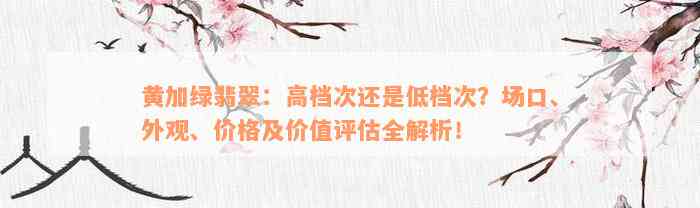 黄加绿翡翠：高档次还是低档次？场口、外观、价格及价值评估全解析！