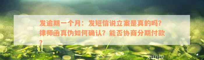 发逾期一个月：发短信说立案是真的吗？律师函真伪如何确认？能否协商分期付款？