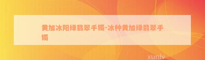 黄加冰阳绿翡翠手镯-冰种黄加绿翡翠手镯