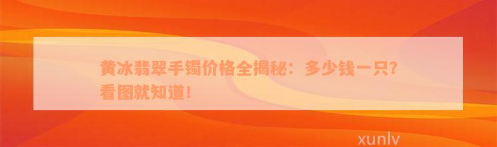 黄冰翡翠手镯价格全揭秘：多少钱一只？看图就知道！