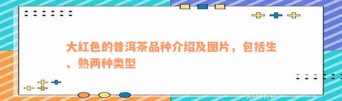 大红色的普洱茶品种介绍及图片，包括生、熟两种类型