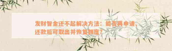 发财智金还不起解决方法：能否再申请、还款后可取出并恢复额度？