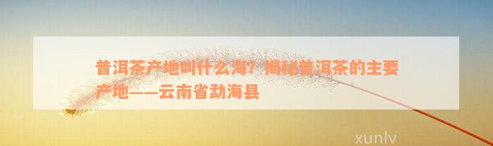 普洱茶产地叫什么海？揭秘普洱茶的主要产地——云南省勐海县