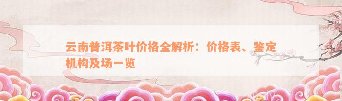 云南普洱茶叶价格全解析：价格表、鉴定机构及场一览