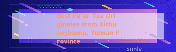 Best Pu'er Tea Originates from Xishuangbanna, Yunnan Province