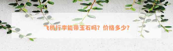 飞机行李能带玉石吗？价格多少？