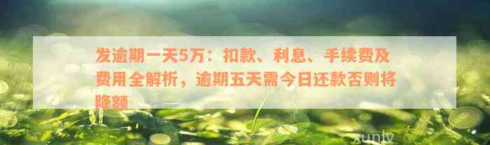 发逾期一天5万：扣款、利息、手续费及费用全解析，逾期五天需今日还款否则将降额