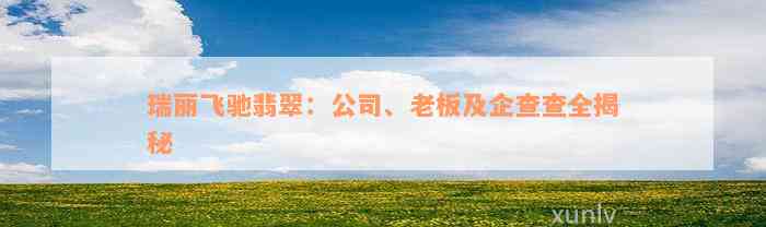 瑞丽飞驰翡翠：公司、老板及企查查全揭秘