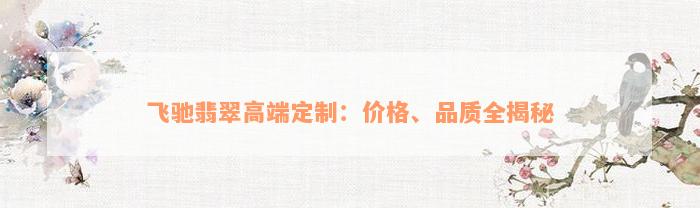 飞驰翡翠高端定制：价格、品质全揭秘