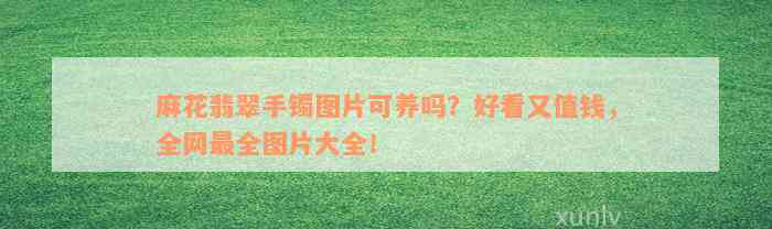 麻花翡翠手镯图片可养吗？好看又值钱，全网最全图片大全！