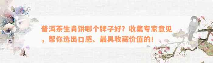 普洱茶生肖饼哪个牌子好？收集专家意见，帮你选出口感、最具收藏价值的！