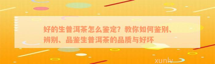 好的生普洱茶怎么鉴定？教你如何鉴别、辨别、品鉴生普洱茶的品质与好坏