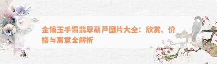 金镶玉手镯翡翠葫芦图片大全：欣赏、价格与寓意全解析