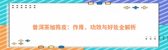 普洱茶加陈皮：作用、功效与好处全解析