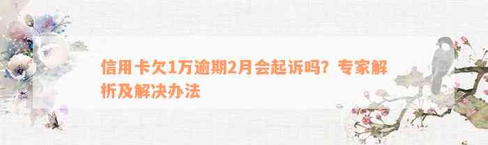 信用卡欠1万逾期2月会起诉吗？专家解析及解决办法