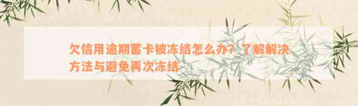 欠信用逾期蓄卡被冻结怎么办？了解解决方法与避免再次冻结