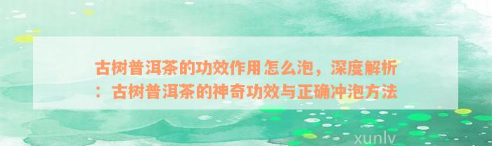 古树普洱茶的功效作用怎么泡，深度解析：古树普洱茶的神奇功效与正确冲泡方法