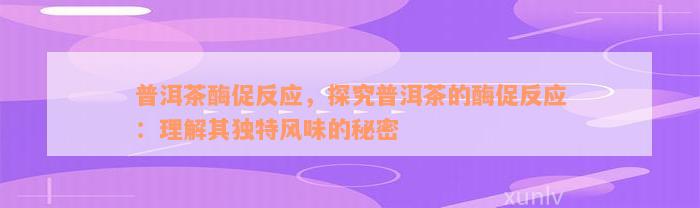 普洱茶酶促反应，探究普洱茶的酶促反应：理解其独特风味的秘密