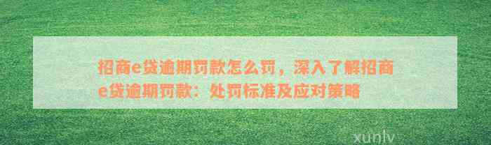 招商e贷逾期罚款怎么罚，深入了解招商e贷逾期罚款：处罚标准及应对策略