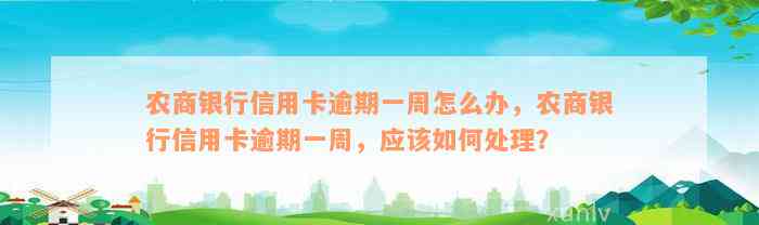 农商银行信用卡逾期一周怎么办，农商银行信用卡逾期一周，应该如何处理？