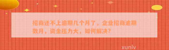 招商还不上逾期几个月了，企业招商逾期数月，资金压力大，如何解决?