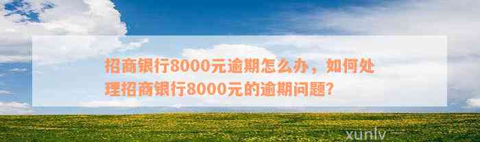 招商银行8000元逾期怎么办，如何处理招商银行8000元的逾期问题？