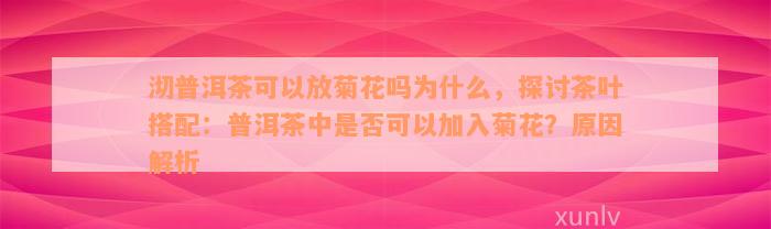 沏普洱茶可以放菊花吗为什么，探讨茶叶搭配：普洱茶中是否可以加入菊花？原因解析