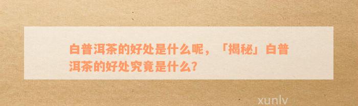 白普洱茶的好处是什么呢，「揭秘」白普洱茶的好处究竟是什么？