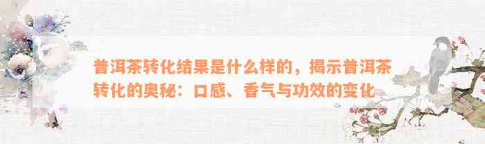 普洱茶转化结果是什么样的，揭示普洱茶转化的奥秘：口感、香气与功效的变化