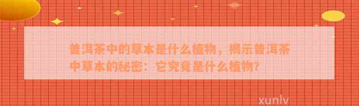 普洱茶中的草本是什么植物，揭示普洱茶中草本的秘密：它究竟是什么植物？