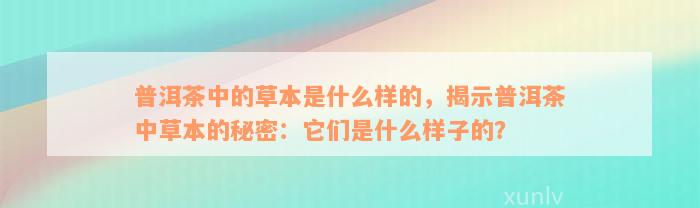 普洱茶中的草本是什么样的，揭示普洱茶中草本的秘密：它们是什么样子的？