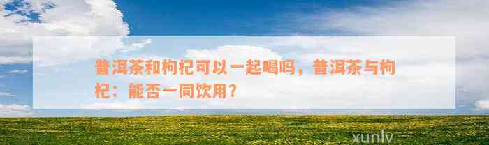 普洱茶和枸杞可以一起喝吗，普洱茶与枸杞：能否一同饮用？