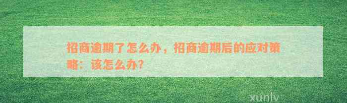 招商逾期了怎么办，招商逾期后的应对策略：该怎么办？