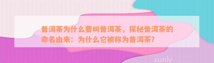 普洱茶为什么要叫普洱茶，探秘普洱茶的命名由来：为什么它被称为普洱茶？