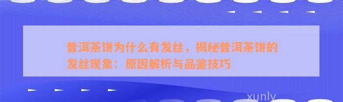 普洱茶饼为什么有发丝，揭秘普洱茶饼的发丝现象：原因解析与品鉴技巧