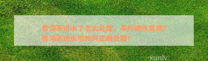 普洱茶进水了怎么处理，茶叶遇水变质？普洱茶进水后如何正确处理？