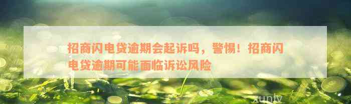 招商闪电贷逾期会起诉吗，警惕！招商闪电贷逾期可能面临诉讼风险