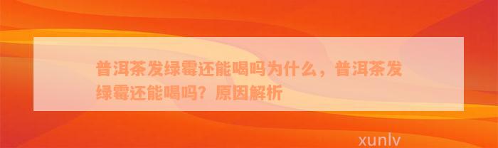 普洱茶发绿霉还能喝吗为什么，普洱茶发绿霉还能喝吗？原因解析