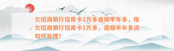 欠招商银行信用卡1万多逾期半年多，拖欠招商银行信用卡1万多，逾期半年多该如何处理？