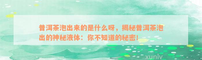 普洱茶泡出来的是什么呀，揭秘普洱茶泡出的神秘液体：你不知道的秘密！