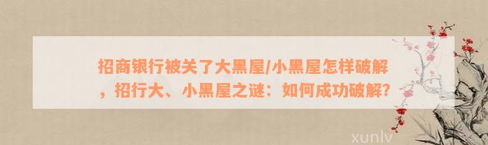 招商银行被关了大黑屋/小黑屋怎样破解，招行大、小黑屋之谜：如何成功破解？