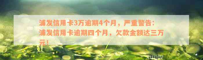 浦发信用卡3万逾期4个月，严重警告：浦发信用卡逾期四个月，欠款金额达三万元！