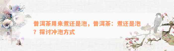 普洱茶用来煮还是泡，普洱茶：煮还是泡？探讨冲泡方式