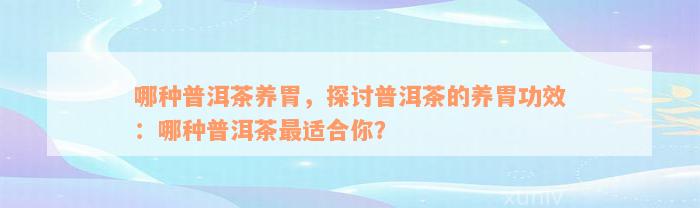 哪种普洱茶养胃，探讨普洱茶的养胃功效：哪种普洱茶最适合你？