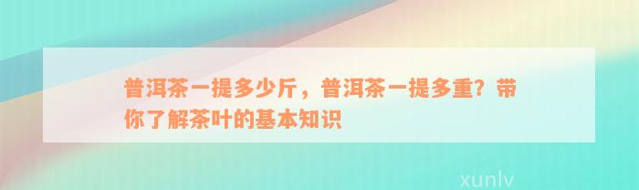 普洱茶一提多少斤，普洱茶一提多重？带你了解茶叶的基本知识